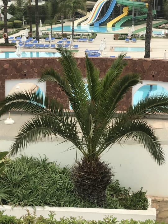 Pool Atlas Amadil Beach Hotel