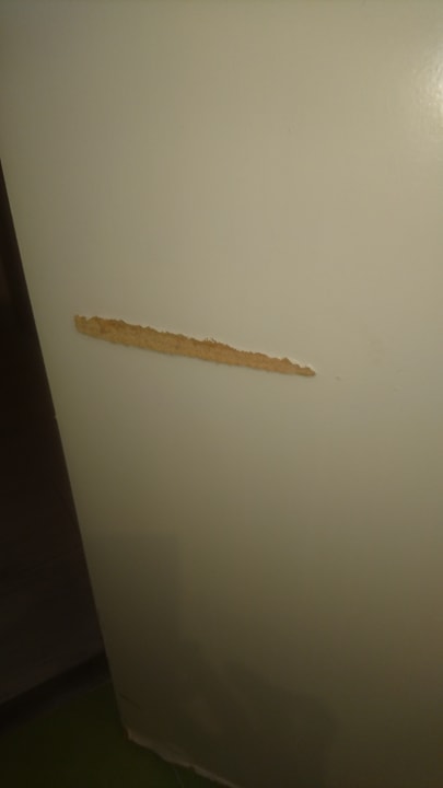 Zimmer Calimera Fido Gardens