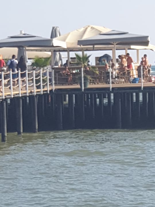 Gastro Royal Seginus