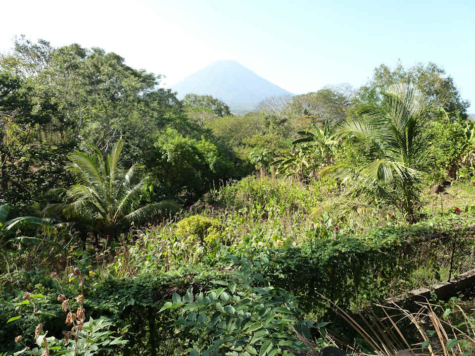 Ausblick                                           Albergue Ecológico El Porvenir