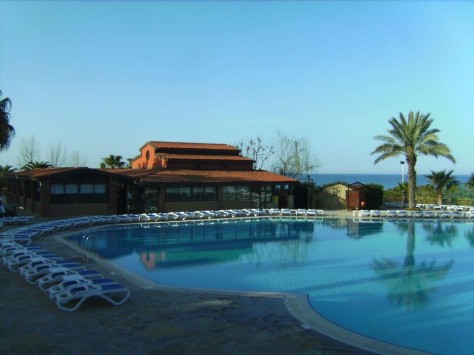 Pool Alba Resort Hotel