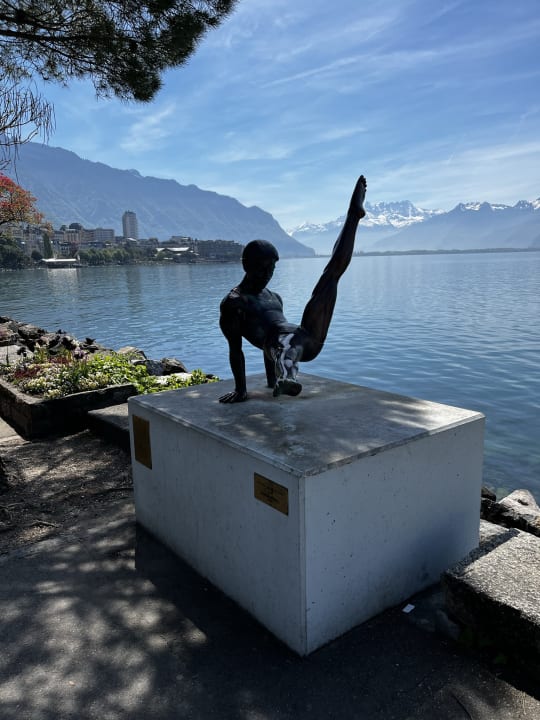 Ausblick Mona Montreux