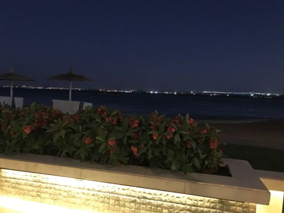 Blick auf das Meer beim Abendessen Beach Albatros Resort