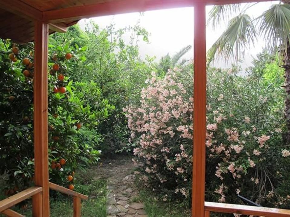 Terrasse von Holtz Bungalows Hotel Anatolia Resort