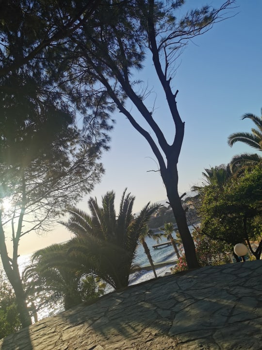 Ausblick Hotel Pine Bay Holiday Resort