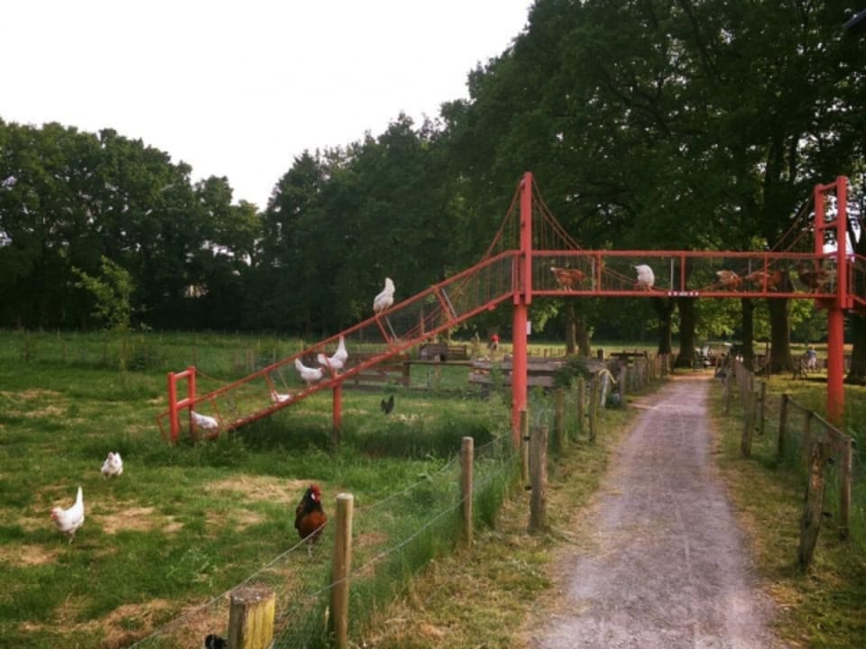 Sonstiges Romantik Hotel Jagdhaus Eiden am See