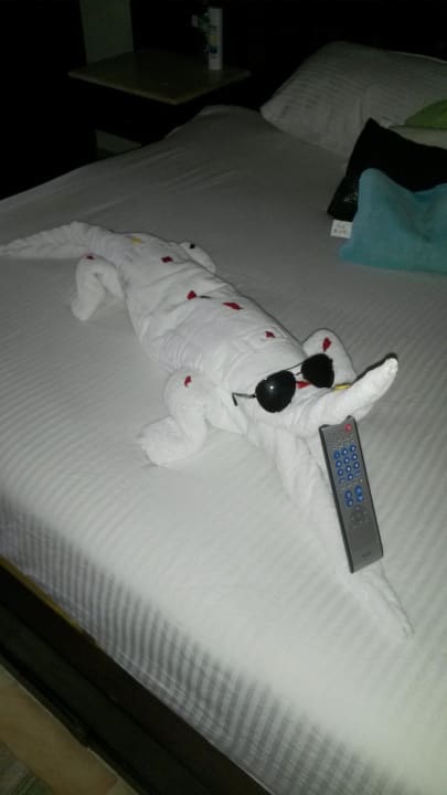 Raubtier auf dem Zimmer Pickalbatros Alf Leila Wa Leila Resort - Neverland Hurghada