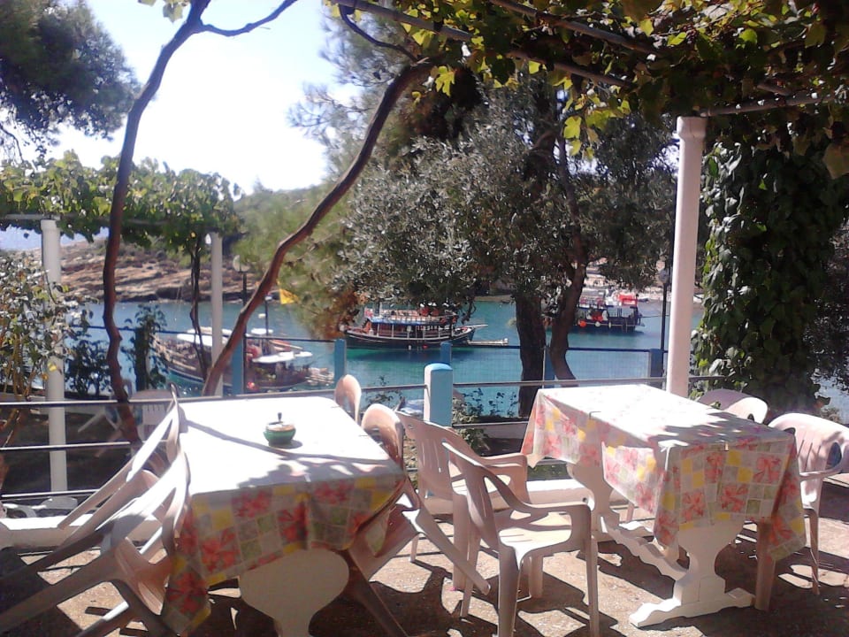 TERRASSE Gorgona Rooms