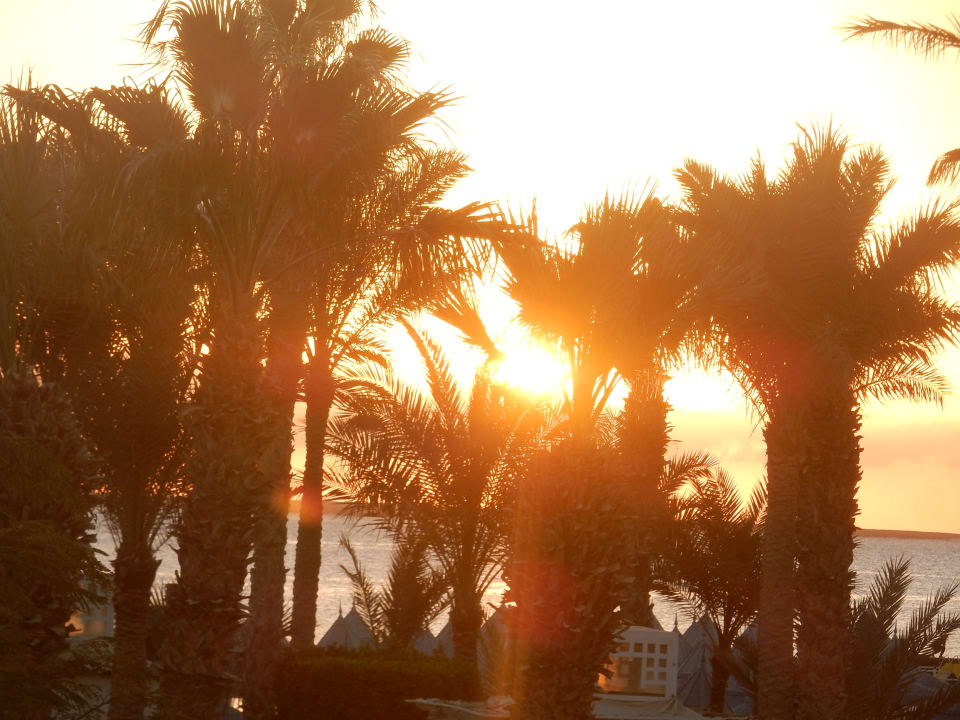 Ausblick The Grand Hotel Hurghada