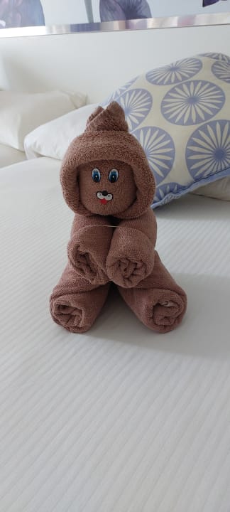 Zimmer Hotel Riu Playacar