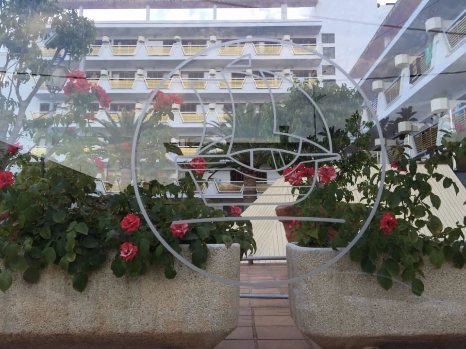 Hotel von außen allsun Hotel Cristóbal Colón