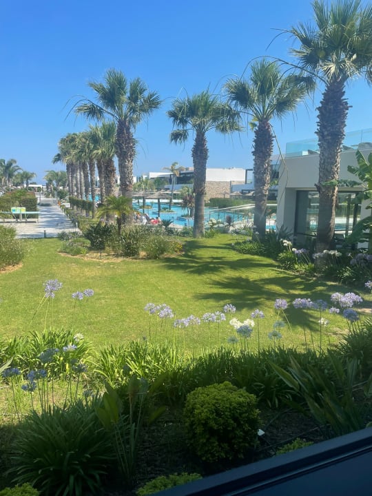Pool TUI BLUE Palazzo del Mare
