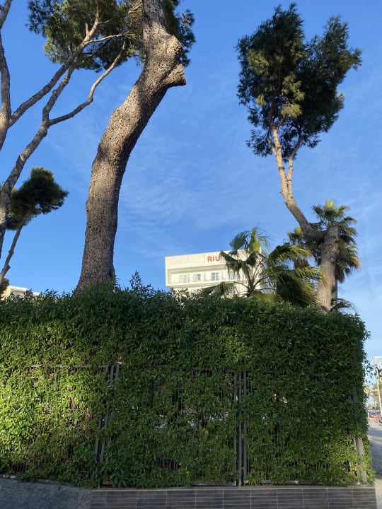 Außenansicht Hotel Riu Festival