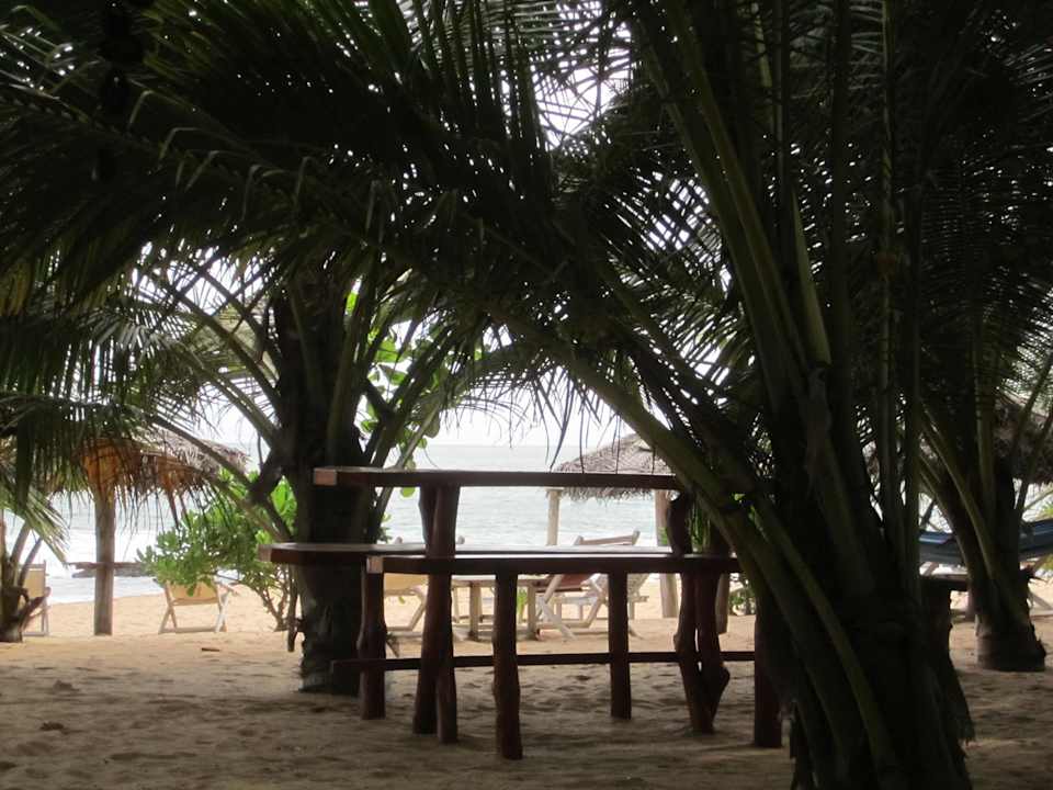 Relaxen am Ibis Strand Ibis Guesthouse