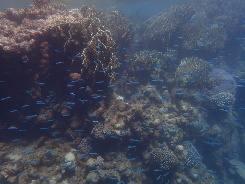 Strand Three Corners Equinox Beach Resort