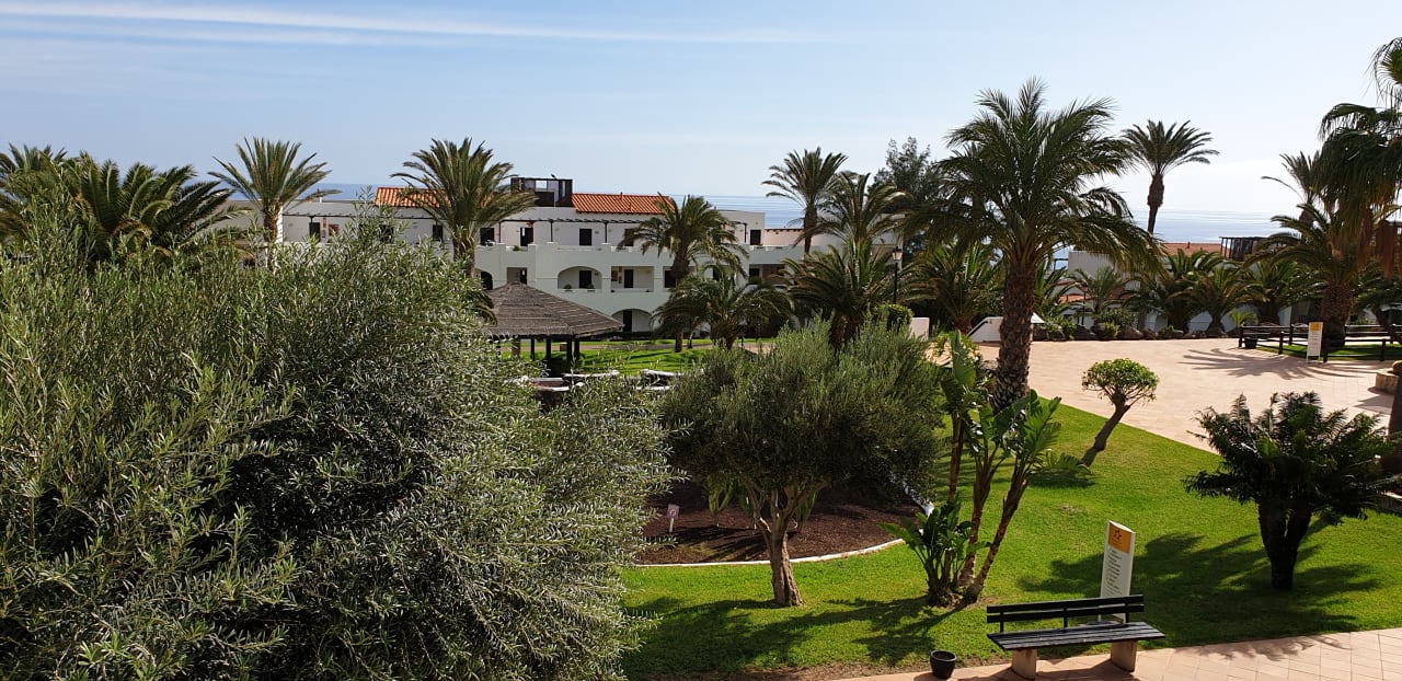 Gartenanlage TUI MAGIC LIFE Fuerteventura