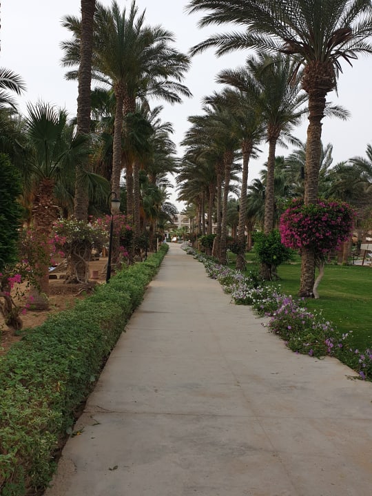 Gartenanlage Brayka Bay Resort