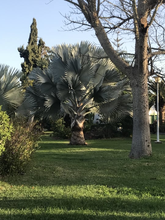 Gartenanlage Bungalows Cordial Sandy Golf