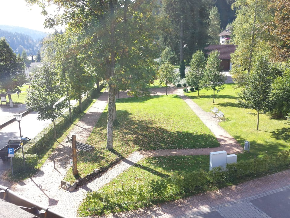 Blick zum Kurpark aus dem Fenster Hotel Waldeck