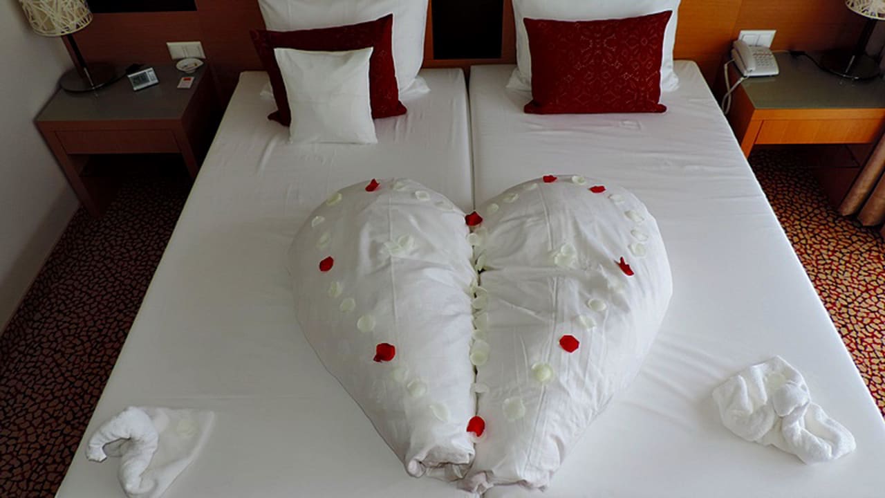 Schwäne mit herz aja Fürstenhaus am Achensee