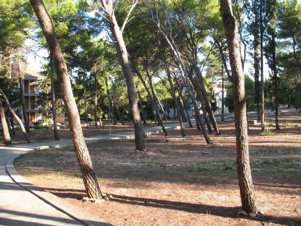 Aussenanlage Hotel Velaris Aminess Vival Casa Velaris