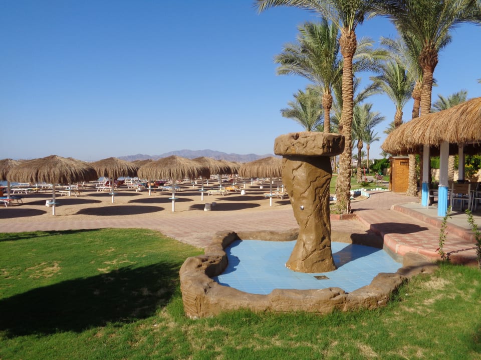 Strand Sentido Caribbean World Soma Bay