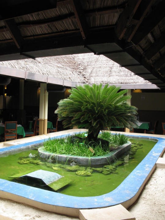 Restaurantgestaltung Summer Island Maldives