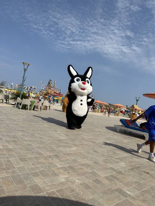 Pool Pickalbatros Aqua Park Resort - Sharm El Sheikh