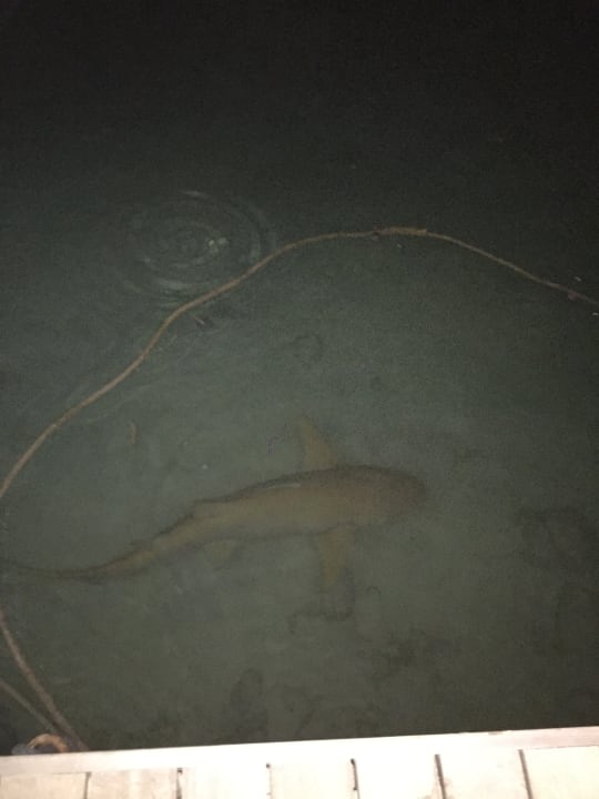 Sonstiges Kuredu Island Resort & Spa