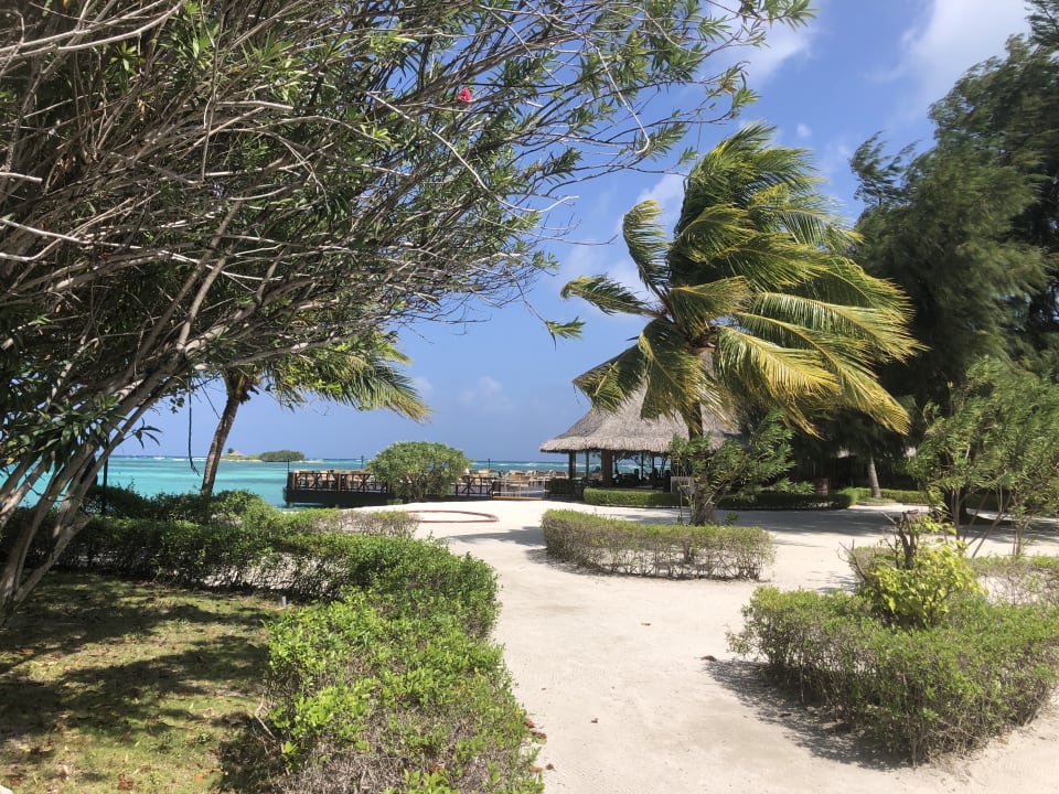 Gartenanlage Adaaran Select Hudhuran Fushi - Premium All Inclusive