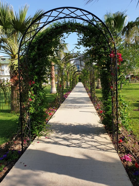 Garten Hotel Novum Garden Side