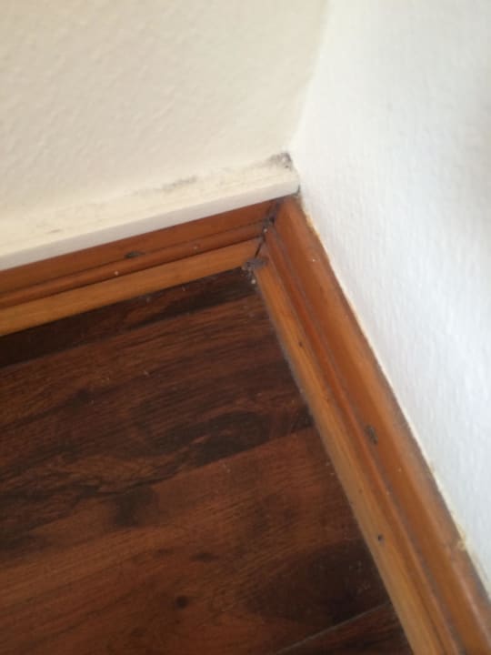 Überall Dreck ibis Styles Strasbourg Centre République