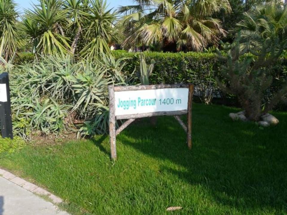 Meine Strecke am Morgen Blue Waters Club