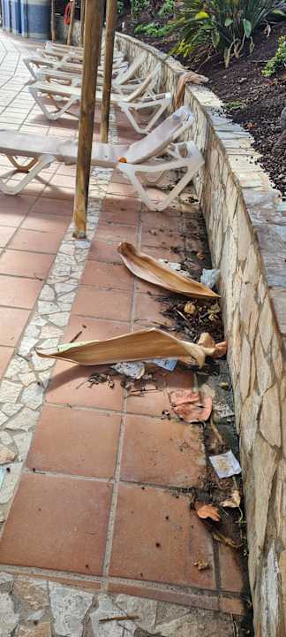 Gartenanlage SBH Club Paraiso Playa