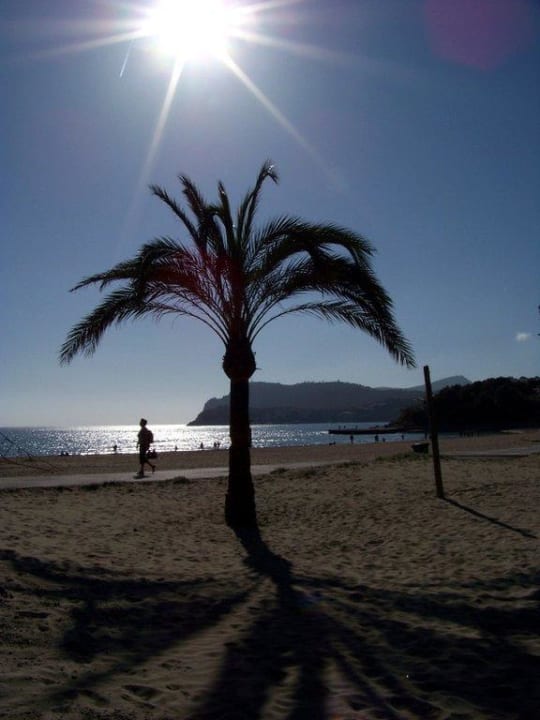 Hotel Palmira Beach allsun Hotel Bella Paguera