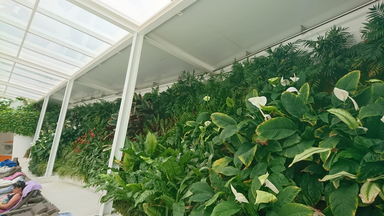 Spa Bull Costa Canaria & Spa - Adults only