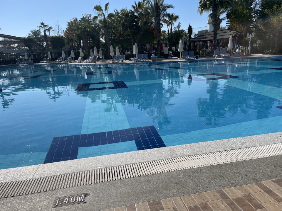 Pool Hotel Delphin Imperial