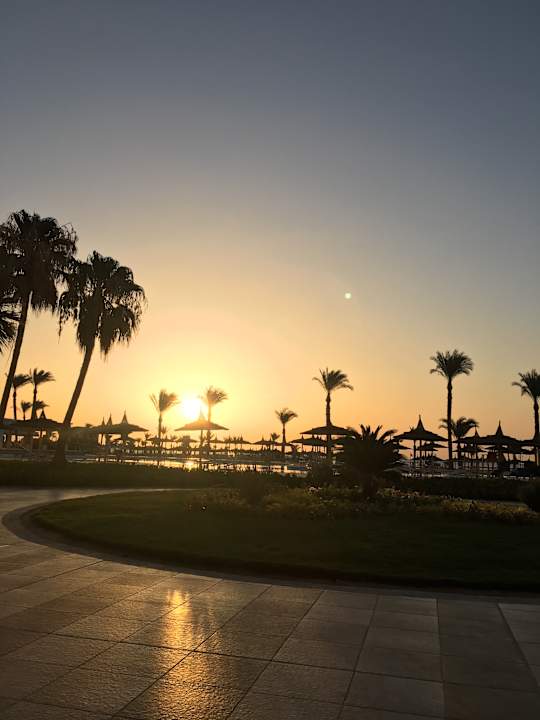Gartenanlage Beach Albatros Resort