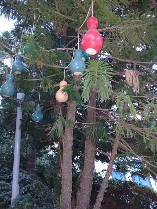 Pool Hane Family Resort