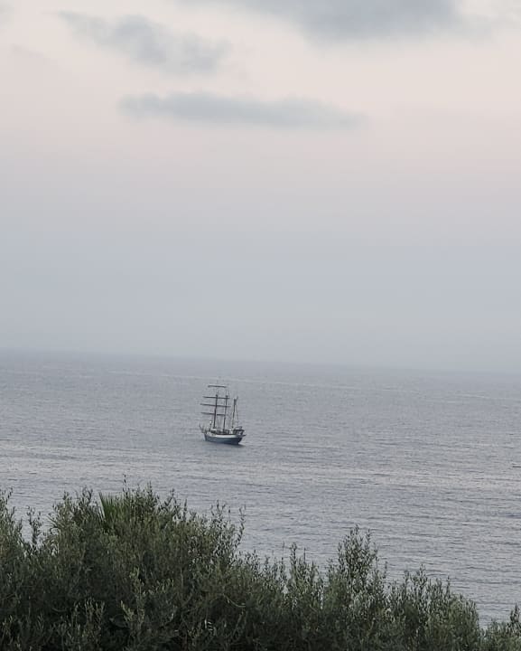 Ausblick Hotel Terme Royal Palm