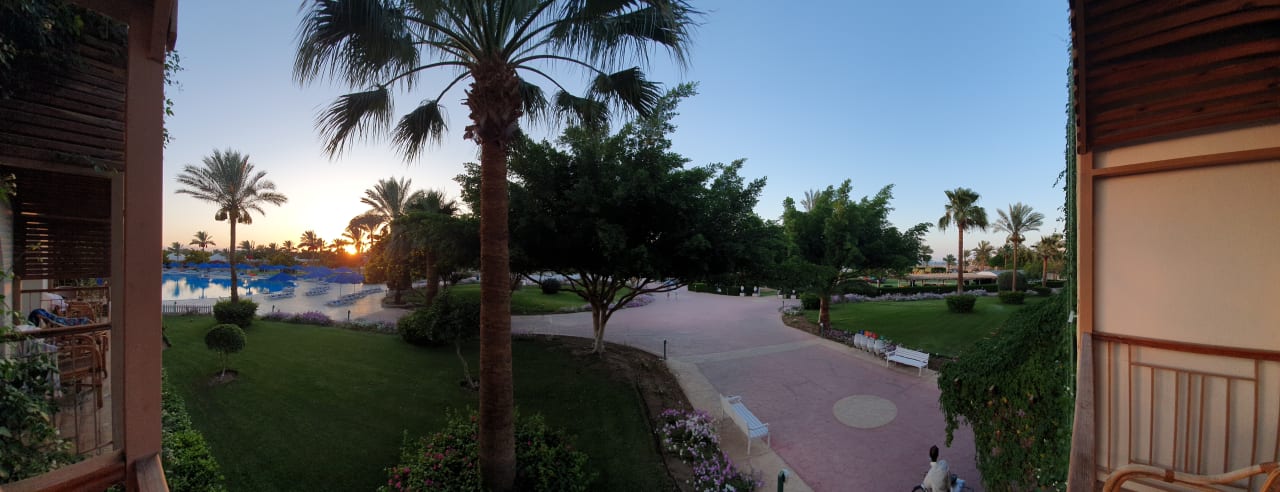 Ausblick Desert Rose