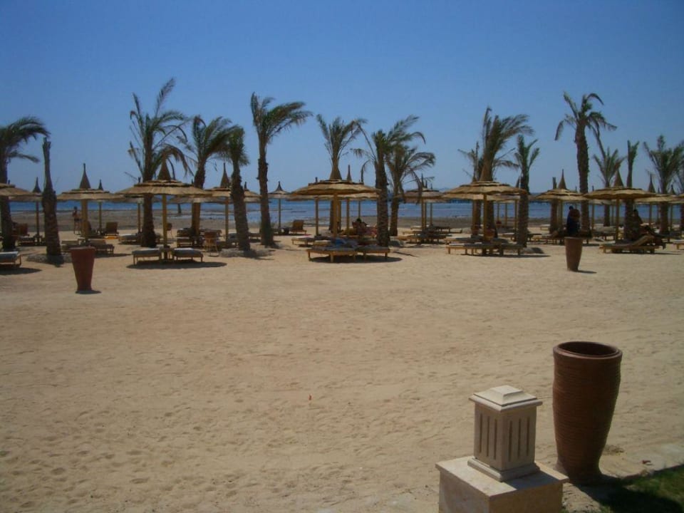 Strandanblick Pickalbatros Palace Resort