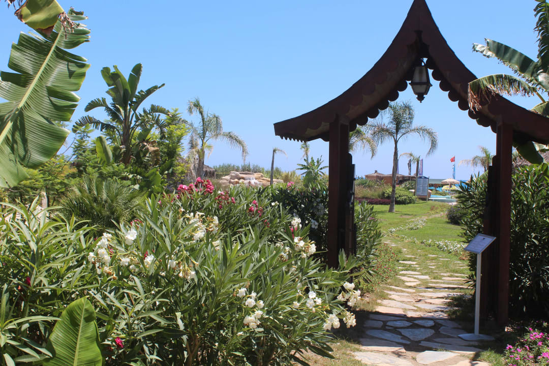 Вход в вип зону Starlight Resort Hotel