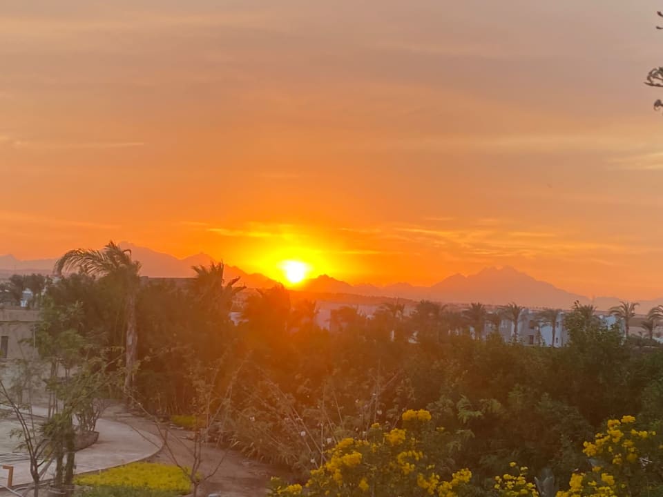 Außenansicht Fort Arabesque Resort, Spa & Villas
