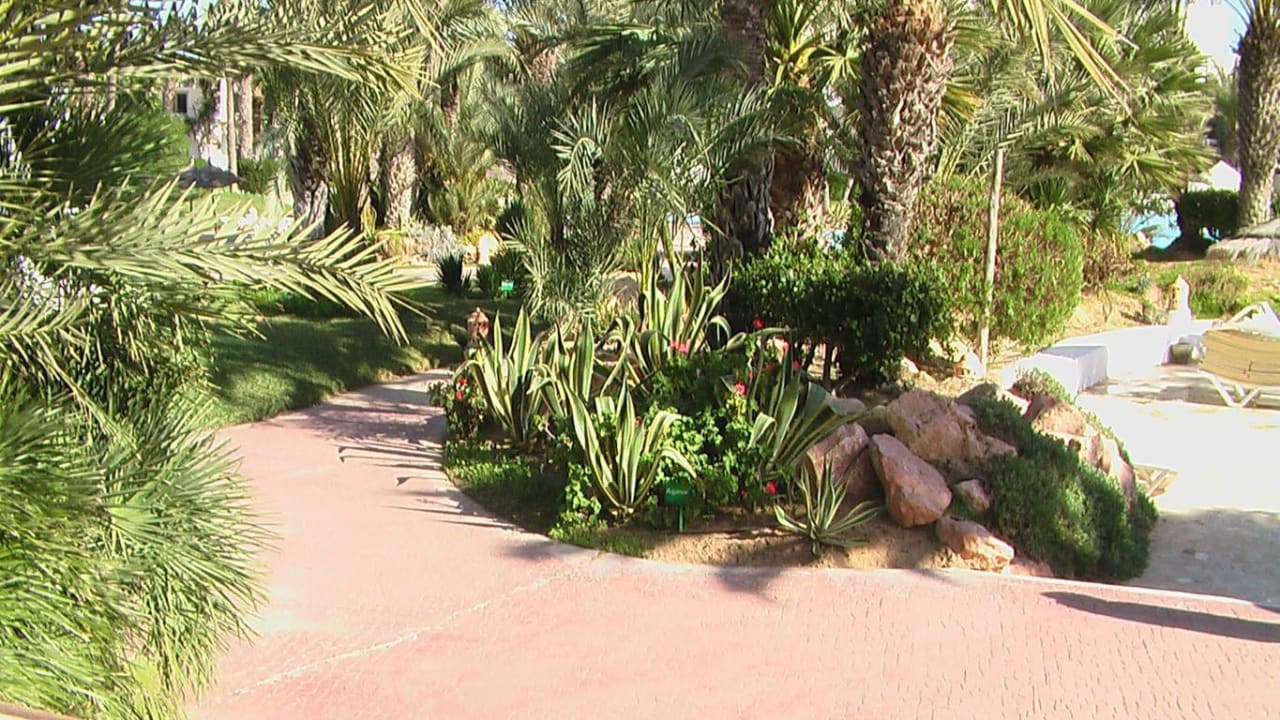 Gartenanlage Hotel Djerba Resort