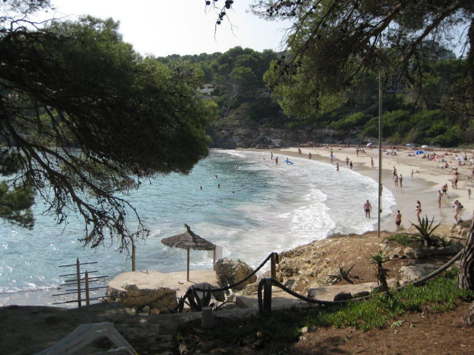 Aussicht auf den Hotelstrand Iberostar Waves Pinos Park