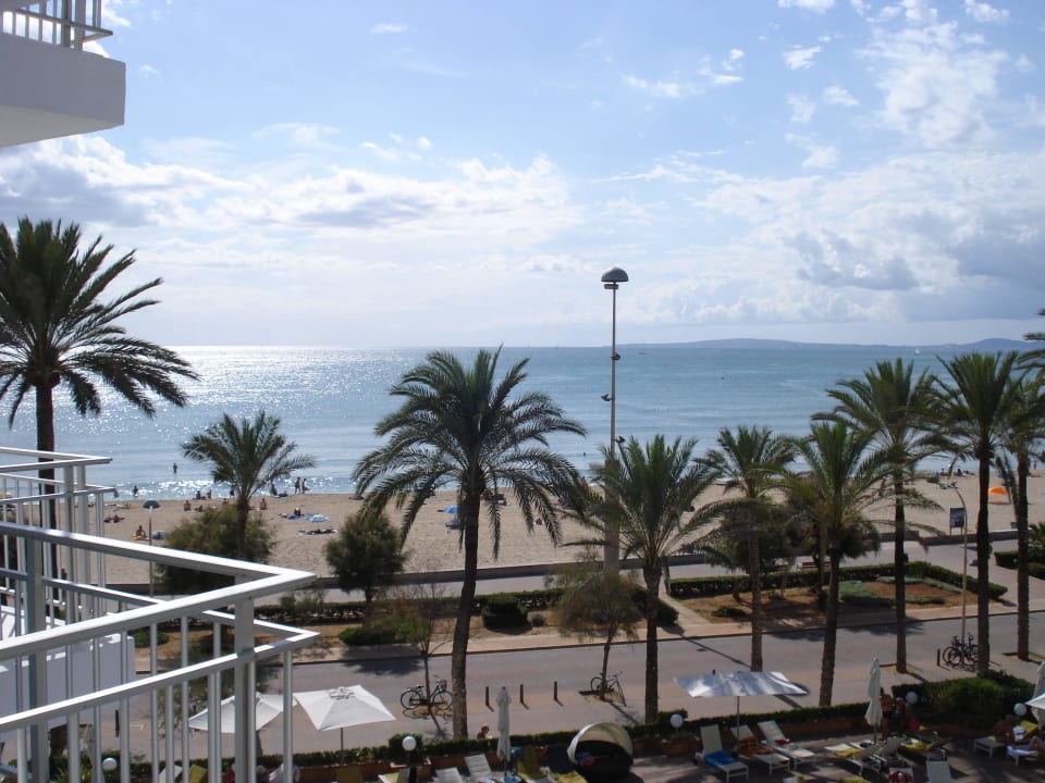 Vom Balkon HM Tropical