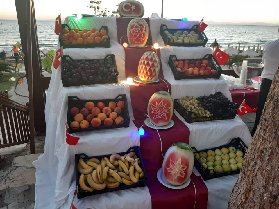 Gastro Clover Magic Nova Beach