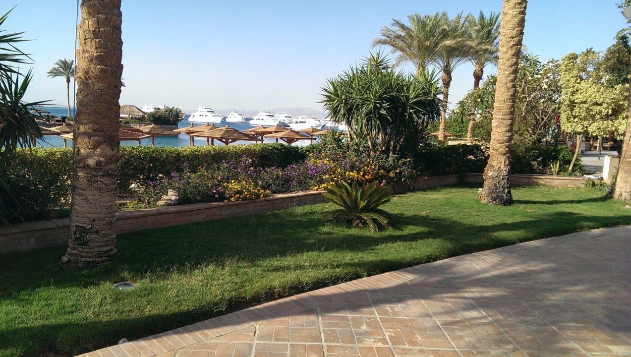 Blick auf Strand Marriott Hurghada Beach Resort