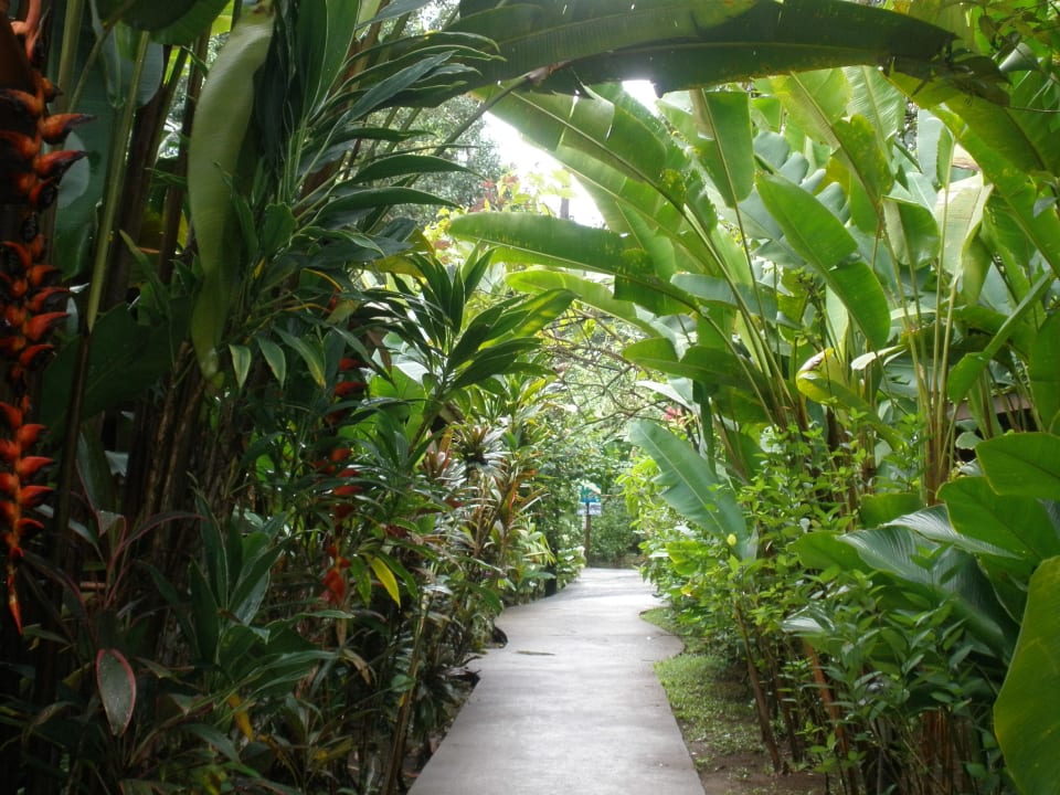 Wege zu den Bungalows Hotel Pachira Lodge